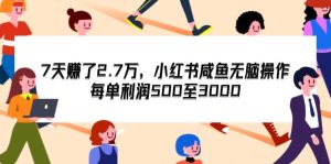 （12192期）7天收了2.7万，小红书咸鱼无脑操作，每单利润500至3000-零氪资源站