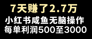 七天赚了2.7万！每单利润最少500+，轻松月入5万+小白有手就行-零氪资源站