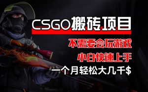 （12332期）CSGO 装备搬砖项目，操作简单，不需要会玩游戏，小白也能快速上手，一…-零氪资源站