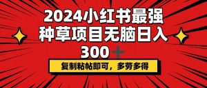 (12336期)2024小红书最强种草项目,无脑日入300+,复制粘帖即可,多劳多得-零氪资源站