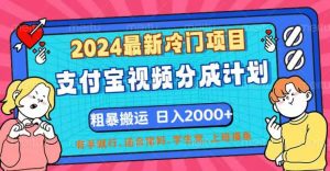 （12407期）2024最新冷门项目！支付宝视频分成计划，直接粗暴搬运，日入2000+，有…-零氪资源站