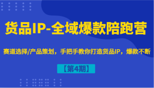 货品IP-全域爆款陪跑营【第4期】赛道选择/产品策划，手把手教你打造货品IP，爆款不断-零氪资源站