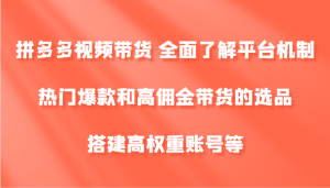 拼多多视频带货 全面了解平台机制、热门爆款和高佣金带货的选品，搭建高权重账号等-零氪资源站