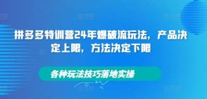 拼多多特训营24年爆破流玩法,产品决定上限,方法决定下限,各种玩法技巧落地实操-零氪资源站