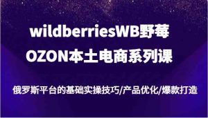 wildberriesWB野莓/OZON本土电商系列课,俄罗斯平台的基础实操技巧/产品优化/爆款打造-零氪资源站