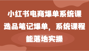 小红书电商爆单系统课-选品笔记爆单,系统课程,能落地实操-零氪资源站