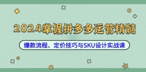 2024掌握拼多多运营精髓:爆款流程、定价技巧与SKU设计实战课-零氪资源站