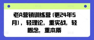 老A营销训练营(更24年9月)，轻理论，重实战，轻概念，重本质-零氪资源站