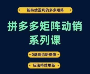 拼多多矩阵动销系列课，能持续盈利的多多矩阵，0基础也听得懂，玩法持续更新-零氪资源站