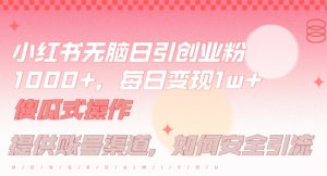 小红书无脑每日引流创业粉500+,小白每天只花半小时,躺赚长尾收益【揭秘】-零氪资源站