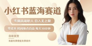 小红书蓝海赛道,圈中高端职场人,月入无上限,可矩阵,内含私域实操教程!-零氪资源站