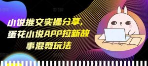 小说推文实操分享,蛋花小说APP拉新故事混剪玩法-零氪资源站