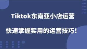 Tiktok东南亚小店运营，快速掌握实用的运营技巧！-零氪资源站