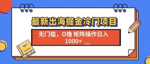 （13672期）最新出海掘金冷门项目，单号日入1000+-零氪资源站