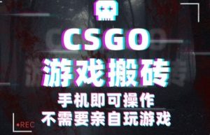 CSGO游戏挂G捡漏，单日扫货5张+，年底小高峰上车可吃肉，手机即可操作，兼职副业创业网创【揭秘】-零氪资源站