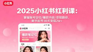 2025小红书红利课：掌握账号定位/爆款内容/变现路径，新手起号30天变现2w+-零氪资源站