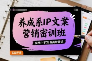 养成系IP文案营销密训班，实战中学习真高级营销-零氪资源站